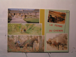 Madré - " La Ferme Du Chemin " - Hotel, Restaurant, Ecomusée - Autres & Non Classés