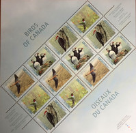 Canada 1996 Birds Large Sheetlet MNH - Autres & Non Classés
