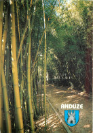 ANDUZE Porte Des Cevennes Les Bambous Geants 16(scan Recto-verso) MD2538 - Anduze