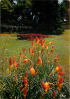 NIMES Le Jardin De La Fontaine Realise Par Jacques Philippe Marechal 15(scan Recto-verso) MD2548 - Nîmes