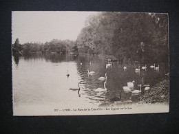 Lyon-Le Parc De La Tete-d'Or-Les Cygnes Sur Le Lac - Otros & Sin Clasificación