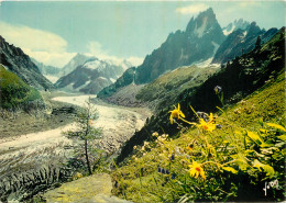 MASSIF DU MONT BLANC La Mer De Glace Les Grandes Jorasses Et Les Grands Charmoz 10(scan Recto-verso) MD2572 - Chamonix-Mont-Blanc