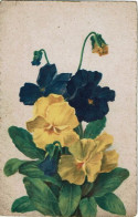 Flower / Fleur / Bloemen Violet - Flores