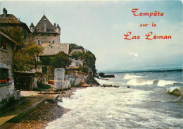 LE LAC LEMAN Tempete A Yvoire 15(scan Recto-verso) MD2580 - Autres & Non Classés