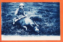 10974 / ⭐ PORT-GENTIL Gabon (•◡•) Belle Piece Chasse Au Buffle Chasseur Trophée 1910s ◉ Collection CEFA C.E.F.A - Gabon