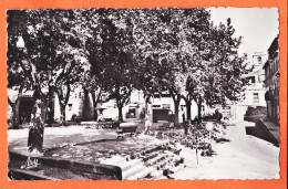 10685 / ⭐ ◉  (•◡•)  Peu Commun 13-VELAUX Promenade Cours 1959 à ARNAUD Rue P. Belot Marseille-Photo-Bromure TARDY  - Sonstige & Ohne Zuordnung