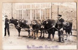 10838 / ROUEN Carte-Photo André CHAMBRY - Bétail De Pays PRIX D'ENSEMBLE Concours Agricole PARIS 1925 Cpagr - Rouen