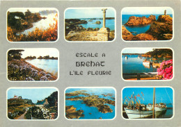 BREHAT La Cote Est La Croix Saint Michel 9(scan Recto-verso) MD2586 - Ile De Bréhat