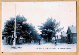 10589 / ⭐ ◉  Guer CAMP De COETQUIDAN 56-Morbihan Allée Des SAPINS Cliché Bleuté Militaria 1920s BERTHAUX Photo 31 - Guer Cötquidan