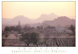 EYGALIERES Dans Les Alpilles 3(scan Recto-verso) MD2595 - Eyguieres