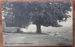 PAYSAGE A TERVUREN / TERVUEREN - RAVENSTEIN - Tervuren