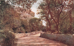 Isle Of Wight - Near Ventnor , The Undercliff - Ventnor