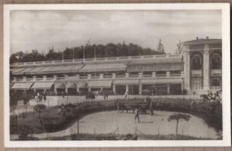 CPSM 69 - CHARBONNIERES Les BAINS - Le Casino Et Le Jardin - Petit Plan Attelage ANE Char Fleuri - Charbonniere Les Bains