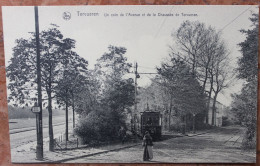 TERVUREN / TERVUEREN - UN COIN DE L'AVENUE ET DE LA CHAUSSEE - TRAM - Tervuren