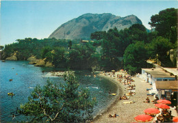 LA CIOTAT Calanque Du Muguel 15(scan Recto-verso) ME2600 - La Ciotat