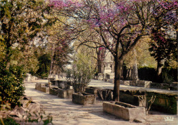 ARLES Les Alyscamps L Allee Des Sarcophages 24(scan Recto-verso) ME2605 - Arles
