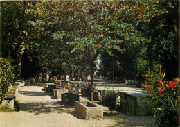 ARLES Les Alyscamps L Allee Des Tombeaux  1(scan Recto-verso) ME2609 - Arles