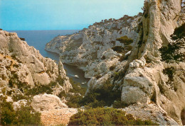 CASSIS Vue Panoramique De La Calanque D En Vau Visite Des Calanques Par Mer 3(scan Recto-verso) ME2611 - Cassis