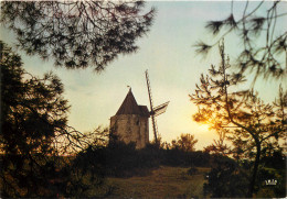 FONTVIEILLE Le Moulin De Daudet D Ou Le Grand Conteur A Date Ses Lettres DAUDET 14(scan Recto-verso) ME2613 - Fontvieille