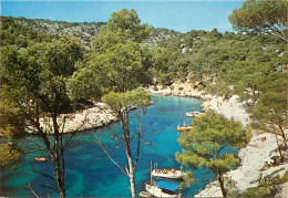 Pres De CASSIS Calanque De Port Pin 24(scan Recto-verso) ME2614 - Cassis