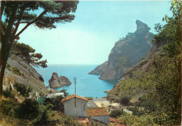 LA CIOTAT Calanque De Figuerolles Et Le Rocher Du Capucin 10(scan Recto-verso) ME2615 - La Ciotat