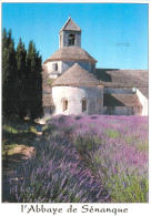 GORDES Sur Le Palteau De Vaucluse L Abbaye De Senanque 2(scan Recto-verso) ME2636 - Gordes