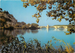 AVIGNON Le Rocher Des Doms Et Le Pont St Benezet 15(scan Recto-verso) ME2639 - Avignon