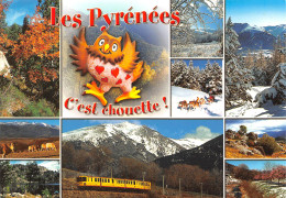 PYRÉNÉES CATALANES C'est Chouette Villefranche – Vernet-les-Bains à Latour-de-Caro 43 (scan Recto Verso)ME2644TER - Ceret