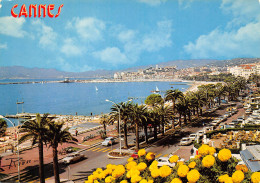 CANNES La Croisette Et Le Suquet Vue Panoramique  42 (scan Recto Verso)ME2645TER - Cannes