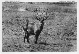 CONGO Belge  WATERBUCK Nationaal Albert Park Antelope 15 (scan Recto Verso)ME2646UND - Congo Belga