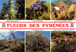 Fleurs Des Pyrénnées   Cauterets Arrens Bareges  33 (scan Recto Verso)ME2650UND - Lourdes