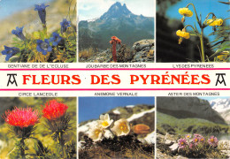 Fleurs Des Pyrénnées  LOURDES  Cauterets Arrens Bareges  32 (scan Recto Verso)ME2650UND - Lourdes