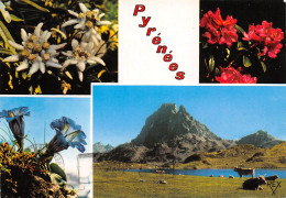 Pyrénnées Multivue Fleurs Pic Du Midi D'Ossau  40 (scan Recto Verso)ME2650UND - Luz Saint Sauveur