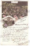 RO 40 - 19196 SINAIA, Litho, Romania - Old Postcard - Used - 1898 - Roemenië
