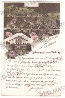 RO 40 - 19196 SINAIA, Litho, Romania - Old Postcard - Used - 1898 - Rumänien