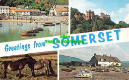 R570576 Greetings From Somerset. Plastichrome. Colourpicture Publishers. 1963. M - Welt