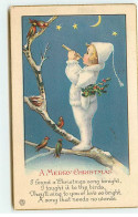 N°18375 - A Merry Christmas - Enfant Jouant Du Pipeau à Des Oiseaux - Other & Unclassified