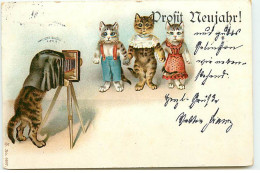 N°20642 - Chat - Prosit Neujahr - Chats Habillés Lors D'une Séance De Photo - Gekleidete Tiere