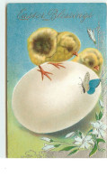N°15093 - Carte Gaufrée - Easter Blessings - Poussins Sur Un Oeuf Regardant Un Papillon - Pasen