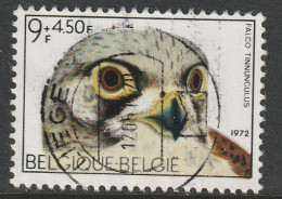 BELGICA, USED STAMP, OBLITERÉ, SELLO USADO, - Gebruikt