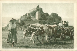 ROMANIA RUPEA CITY, OX CARRIAGE, PEOPLE, RUINS - Roemenië