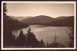 ALLEMAGNE TITISEE ABENDSTIMMUNG - Titisee-Neustadt