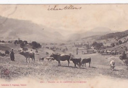 VALLEE DE SAINT MARTIN EN VERCORS   VACHES               PRECURSEUR - Sonstige & Ohne Zuordnung