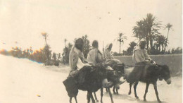 North Africa Ethnics, Donkey Ride Small Format Photo 4 X 6 Cm - Africa