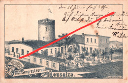 Litho AK Neusalza Spremberg Bergrestaurant Baude Ebersbach Sohland Oppach Neugersdorf Friedersdorf Fugau Georgswalde - Neusalza-Spremberg