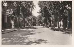 SETIF  EN ALGERIE L'AVENUE CLEMENCEAU - Sétif