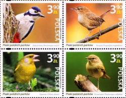 Poland 2024 Birds 4v Mint - Ungebraucht