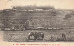 ECOLE PRATIQUE D'AGRICULTURE DE ROUCEUX - UN COIN DE PATURAGE - Sonstige & Ohne Zuordnung