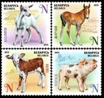 2024 Belarus 1542-1545 Fauna - Baby Pets 11,00 € - Caballos