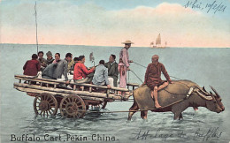 China - BEIJING - Buffalo Cart - Publ. Sincere Co.  - Chine